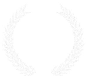 SDVOSB — Service-Disabled Veteran-Owned Small Business